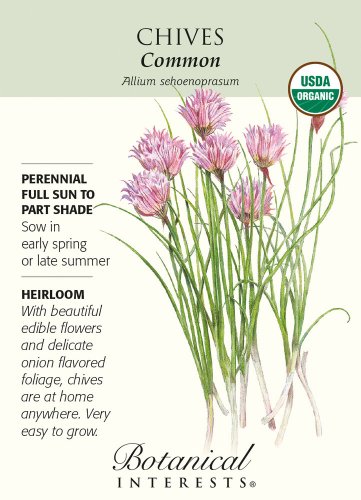 Common Chives Seeds 500 mg Certified Organic