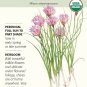 Common Chives Seeds 500 mg Certified Organic