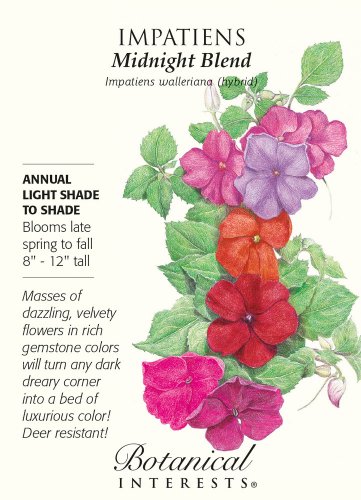 Midnight Blend Impatiens Seeds 50 mg
