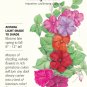 Midnight Blend Impatiens Seeds 50 mg
