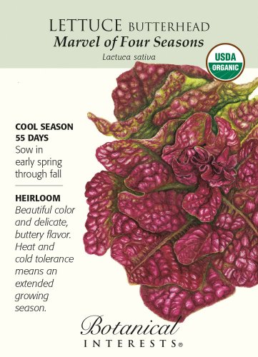 Marvel of the Four Seasons Organic Lettuce Seeds1 Gram