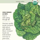 Butterhead Buttercrunch Lettuce Seeds 1g Organic