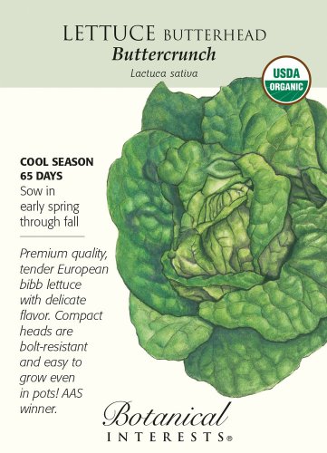 Butterhead Buttercrunch Lettuce Seeds 1g Organic