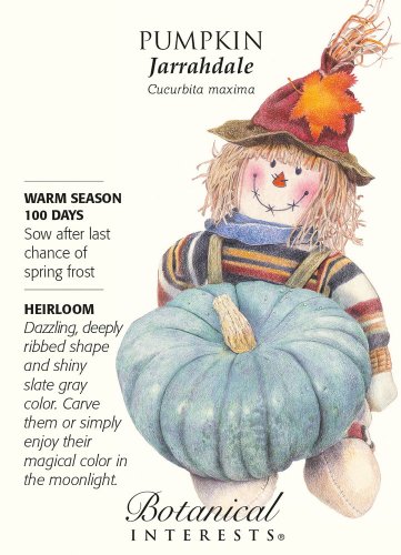 Jarrahdale Pumpkin Seeds 3 grams Heirloom