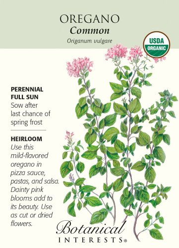 Organic Common Oregano Seeds 1 Gram