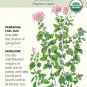 Organic Common Oregano Seeds 1 Gram