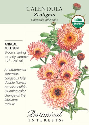 Zeolights Calendula Seeds 400 mg