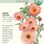 Zeolights Calendula Seeds 400 mg