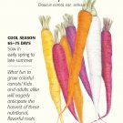Calliope Blend Carrot Seeds 800 Mg Botanical Interests