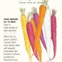 Calliope Blend Carrot Seeds 800 Mg Botanical Interests