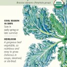 Organic Dwarf Blue Curled Kale Seeds 1 gram Botanical Interests