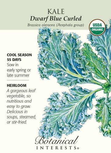 Organic Dwarf Blue Curled Kale Seeds 1 gram Botanical Interests
