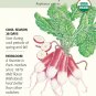 French Breakfast Radish Seeds 3 grams Organic
