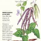 Coronet Pinkeye Purple Hull Southern Cowpea Seeds 25 gms Botanical Interests