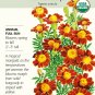 Organic Red Metamorph French Marigold Seeds 150 Milligrams