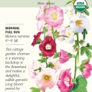 Organic Outhouse Hollyhock Seeds 300 Milligrams
