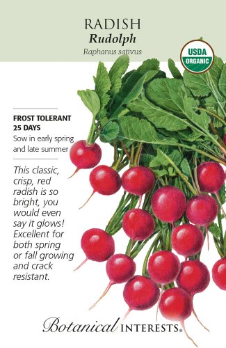 Organic Rudolph Radish Seeds 1 gram