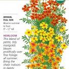 Organic Gem Blend Signet Marigold Seeds 100 Mg