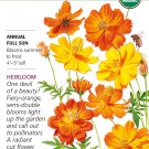 Organic Diablo Cosmos Seeds 500 Mg