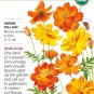Organic Diablo Cosmos Seeds 500 Mg
