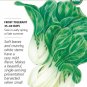 Organic Baby Choi Bok Choy Seeds 700 mg