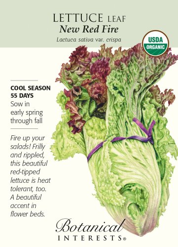 Organic New Red Fire Leaf Lettuce Seeds 500 Mg
