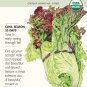 Organic New Red Fire Leaf Lettuce Seeds 500 Mg