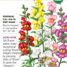 Organic Tall Maximum Blend Snapdragon Seeds 200 Mg