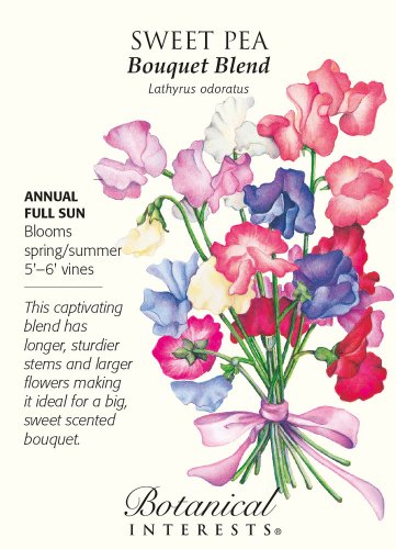 Bouquet Blend Sweet Pea Seeds 3 grams