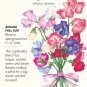 Bouquet Blend Sweet Pea Seeds 3 grams