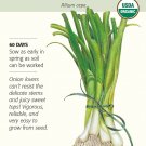 Organic White Lisbon BunchingScallion Onion Seeds 1gram