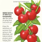 Glacier Bush Tomato 25 Seeds
