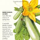 Dirani Lebanese Summer Squash Seeds 12 Seeds