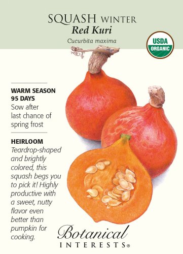 Organic Red Kuri Winter Squash Seeds 1.5 grams