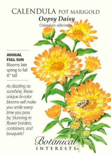 Oopsy Daisy Calendula Pot Marigold Seeds 700 mg