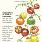 Rainbow Blend Cherry Tomato Seeds 100 mg
