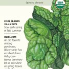 Bloomsdale Spinach Seeds 3 grams Certified Organic