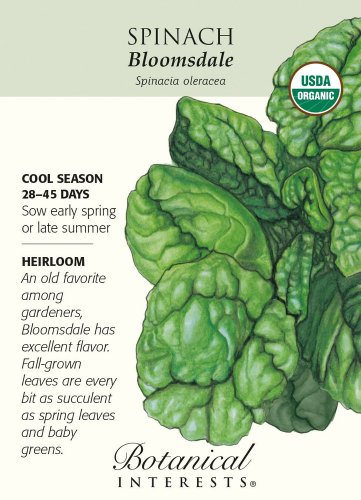 Bloomsdale Spinach Seeds 3 grams Certified Organic