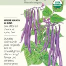 Organic Royal Burgundy Bush Bean Seeds 15 grams
