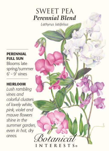 Perennial Blend Sweet Pea Seeds 1 gram Perennial