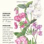 Perennial Blend Sweet Pea Seeds 1 gram Perennial