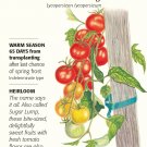 Gardeners Delight Cherry Tomato Seeds 25 Seeds