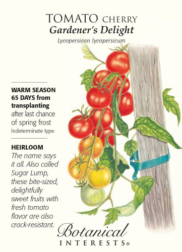Gardeners Delight Cherry Tomato Seeds 25 Seeds