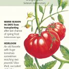 Beefsteak Pole Tomato 25 Seeds Certified Organic
