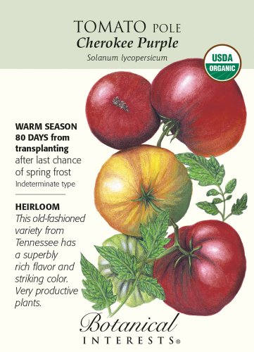 Organic Cherokee Purple Pole Tomato Seeds 60 Mgs