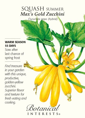 Max's Gold Zucchini Summer Squash Seeds 12 Seeds