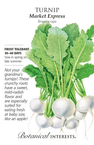 Market Express Turnip Seeds 400 Mg