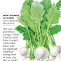 Market Express Turnip Seeds 400 Mg