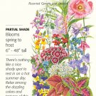 Made in the Shade Flower Seed Mix 3 grams