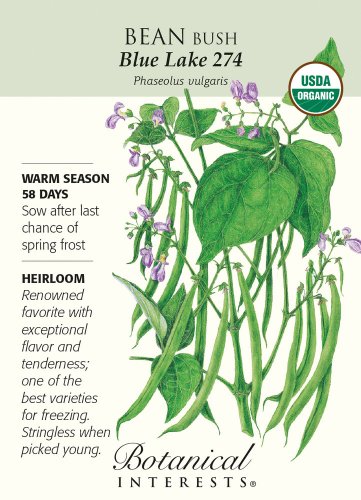 Blue Lake 274 Bush Bean Seeds 20 grams Organic